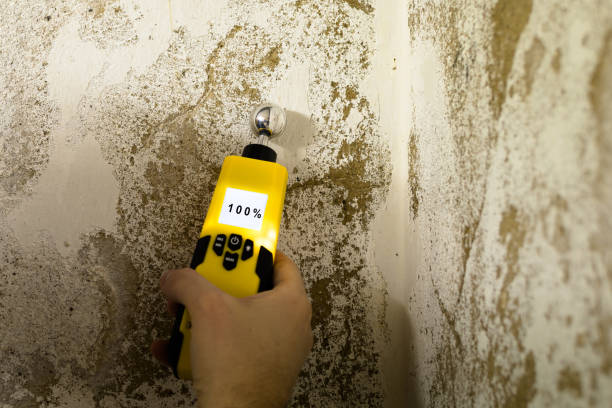 Best Fire Damage Restoration  in Al Creek, CO